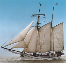 Segelschiff Bisschop vsn Arkel