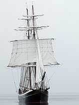Brigg Morgenster