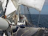 Thalassa