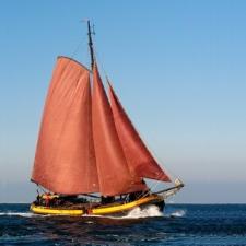 Vertrouwen - Plattbodenschiff