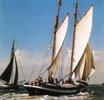 Plattbodesnchiff Zwadde