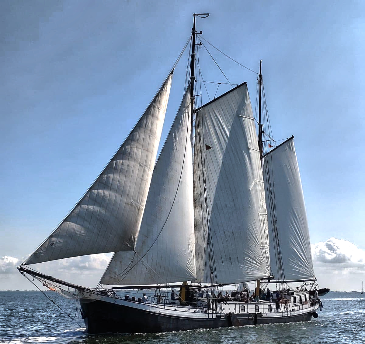 mit dem Plattbodenschiff Actief segeln