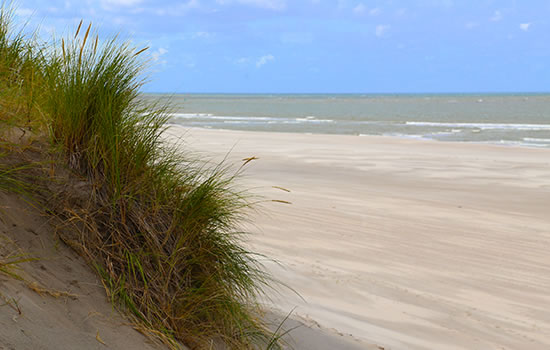 Stranddüne auf Vlieland